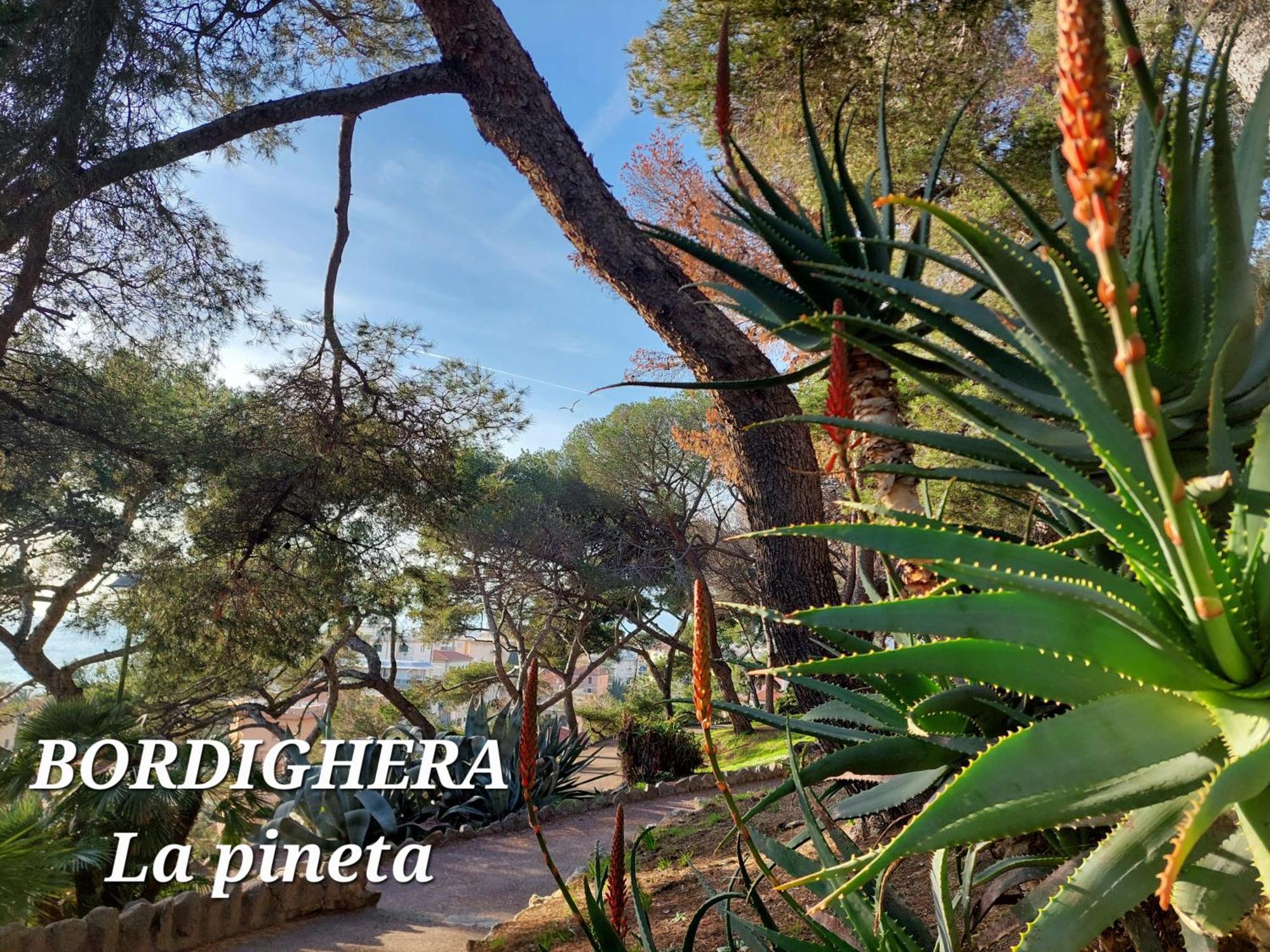 Emozioni Casa Vista Mare Bordighera Extérieur photo