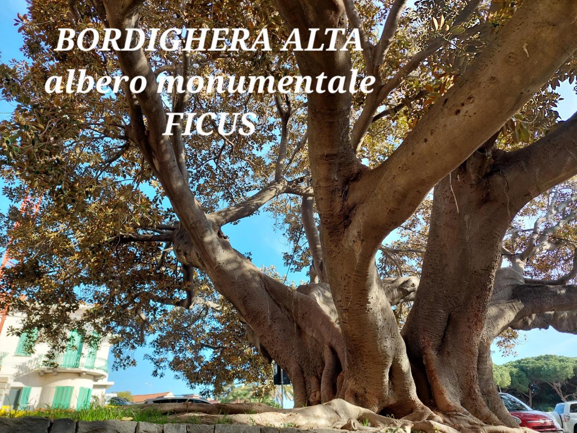 Emozioni Casa Vista Mare Bordighera Extérieur photo