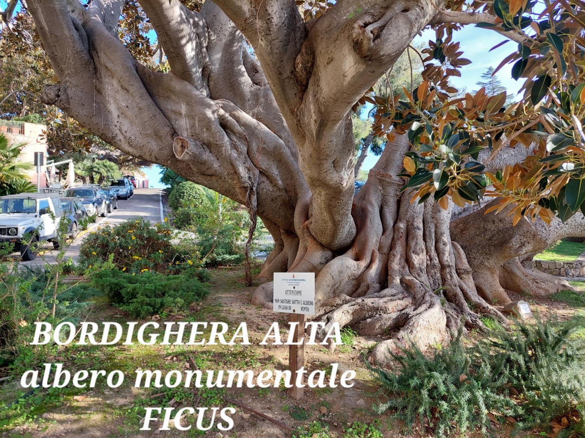 Emozioni Casa Vista Mare Bordighera Extérieur photo