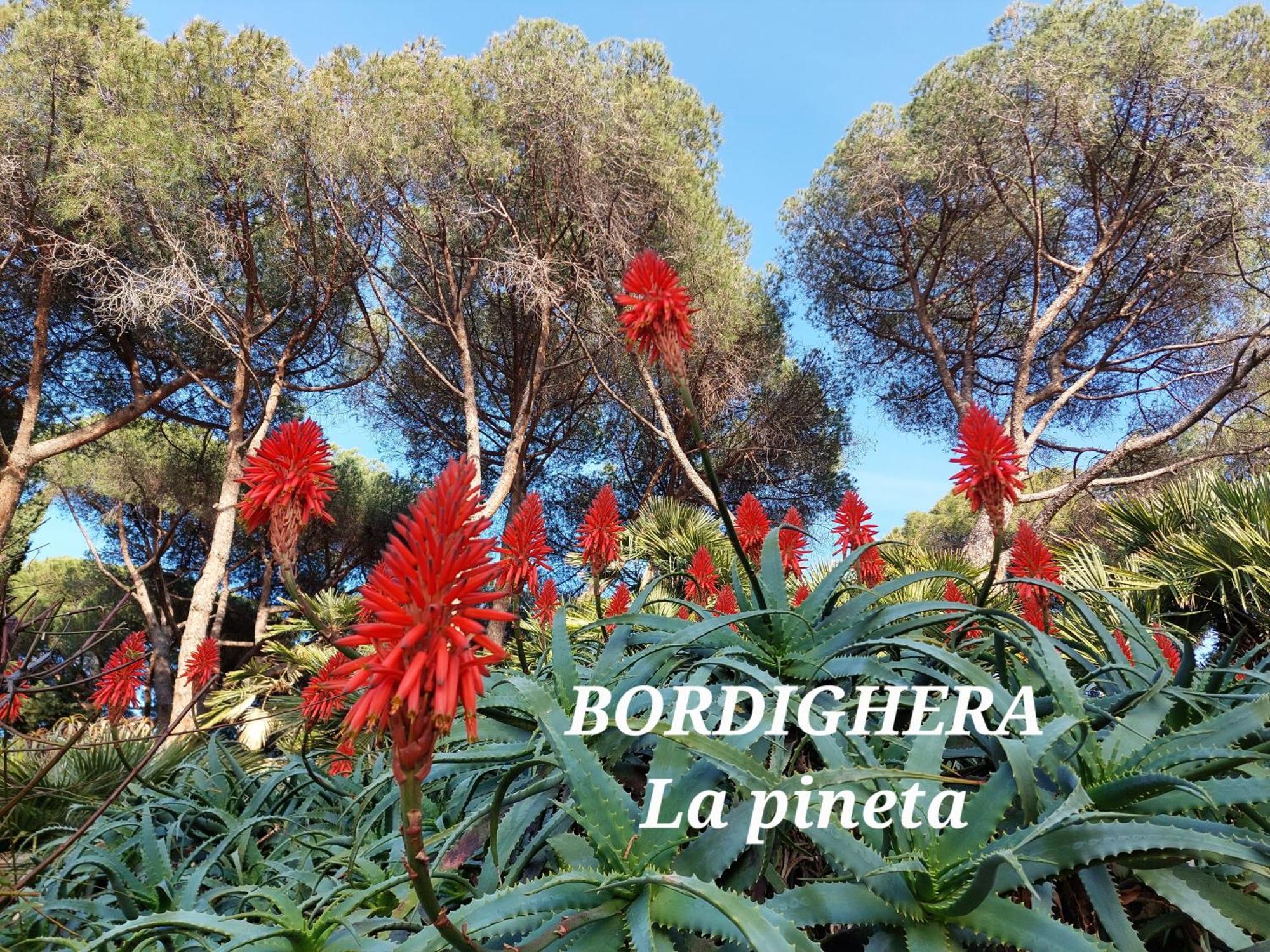 Emozioni Casa Vista Mare Bordighera Extérieur photo